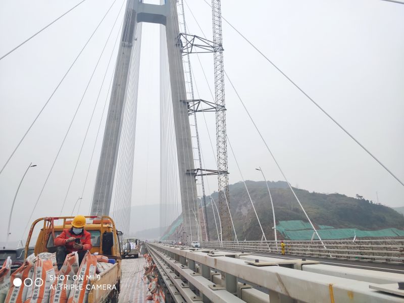 湖北路橋集團-湖北武穴長江大橋(圖1)